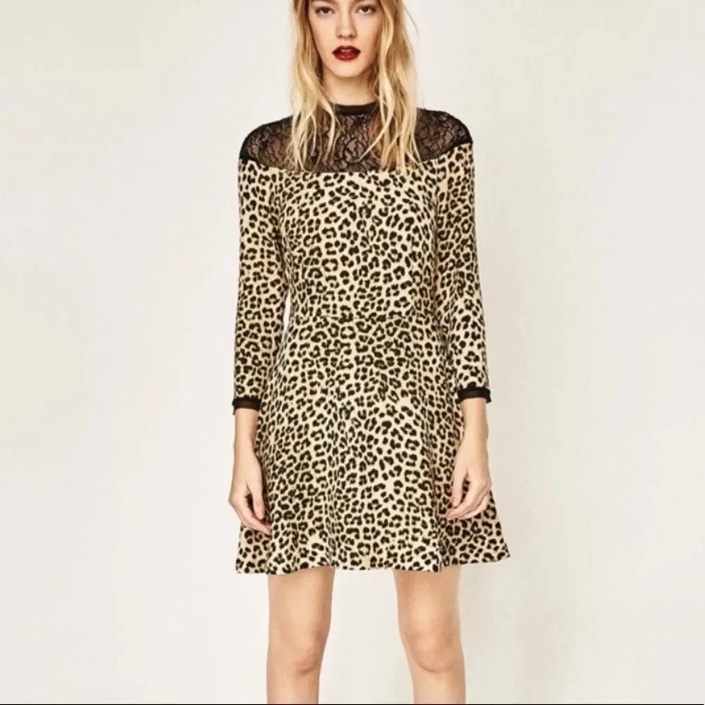 Zara Cheetah Print Fit & Flare Dress
